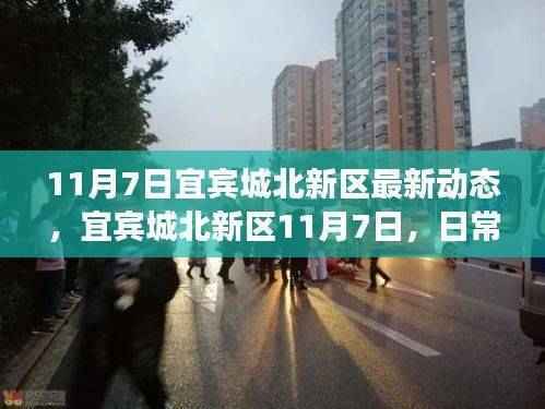 宜宾城北新区11月7日动态,日常趣事与友情的交织温暖时光