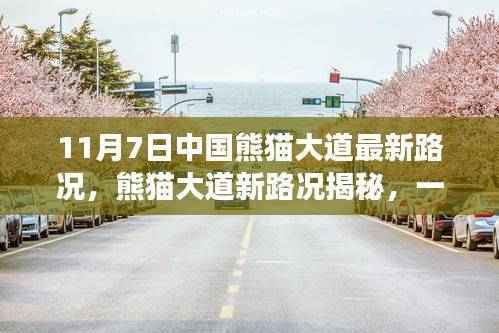 中国熊猫大道最新路况揭秘,绿色旅行,探寻内心平静的旅程