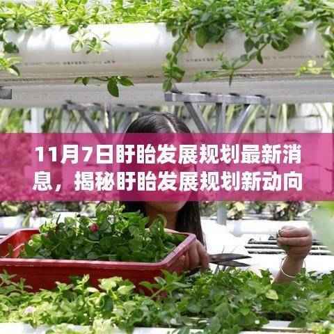 盱眙发展规划最新动态,小巷风情小店与未来发展规划揭秘(11月7日)