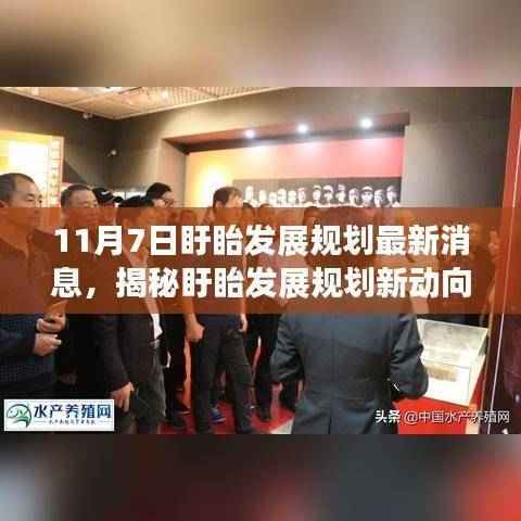 盱眙发展规划最新动态,小巷风情小店与未来发展规划揭秘(11月7日)