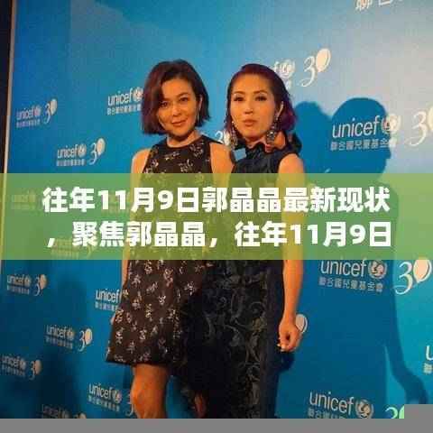 郭晶晶最新现状聚焦，往年11月9日的观点分析与探讨