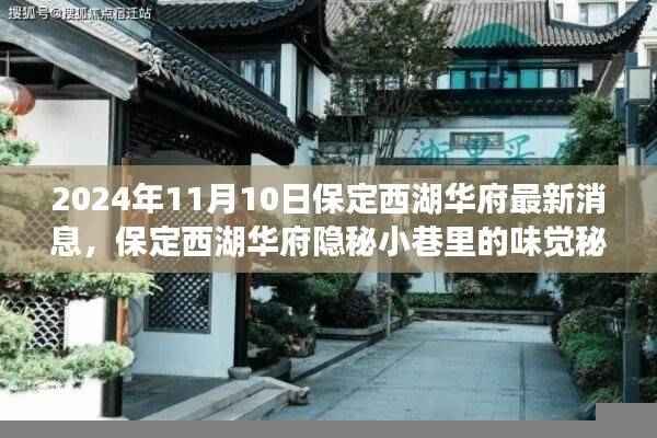 保定西湖华府隐秘小巷的味觉秘境,探索一家特色小店的非凡故事(最新消息)