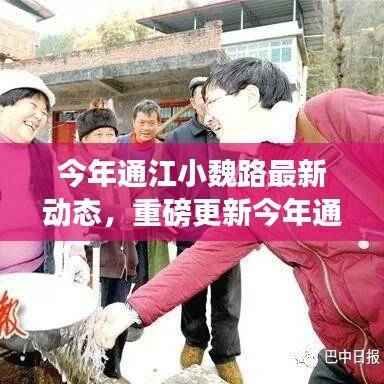 通江小魏路最新动态揭秘,今年重磅更新,你不可错过的崭新篇章