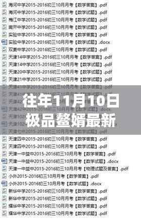 往年11月10日极品鳌婿全方位指南,从新手到精英的步骤解析