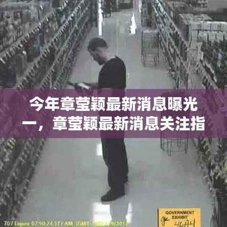 章莹颖最新消息曝光,全面关注指南与追踪教程