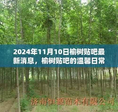 榆树贴吧最新消息,温馨日常与奇遇的情感纽带(2024年11月10日)