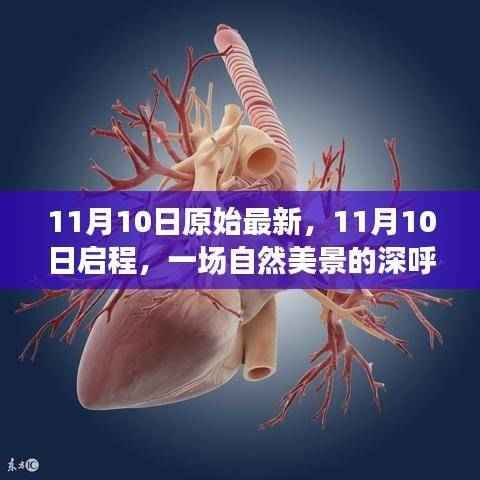 11月10日启程,深呼吸自然美景之旅,探寻内心平和与宁静的旅程