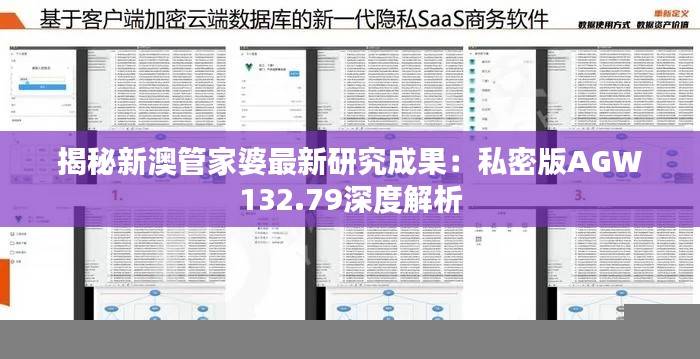 揭秘新澳管家婆最新研究成果:私密版AGW132.79深度解析