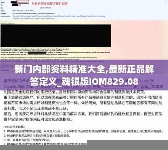 新门内部资料精准大全,最新正品解答定义_魂银版IOM829.08