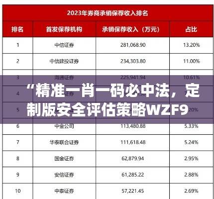 “精准一肖一码必中法,定制版安全评估策略WZF902.3”