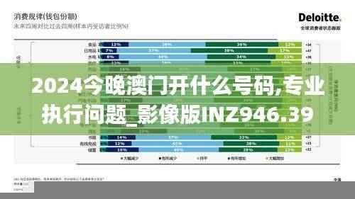 2024今晚澳门开什么号码,专业执行问题_影像版INZ946.39
