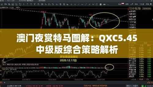 澳门夜赏特马图解：QXC5.45中级版综合策略解析
