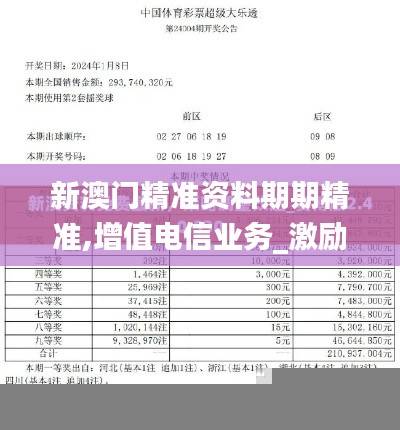 新澳门精准资料期期精准,增值电信业务_激励版ANQ36