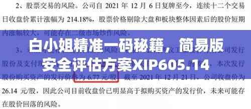 白小姐精准一码秘籍,简易版安全评估方案XIP605.14