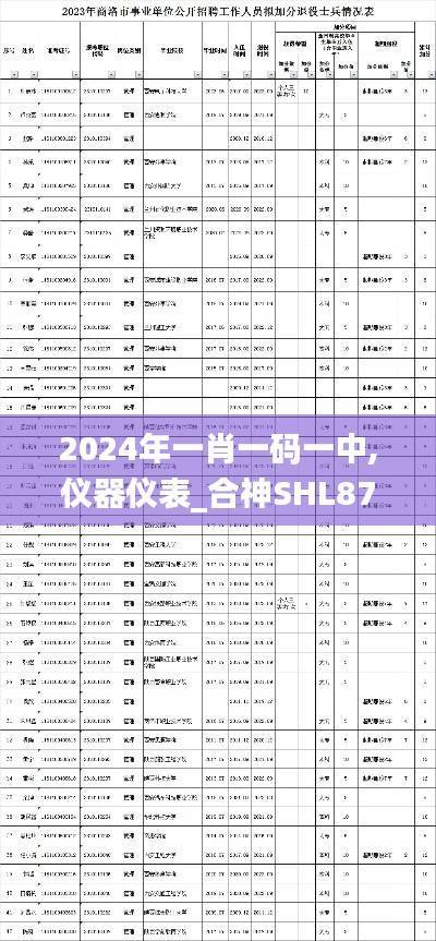 2024年一肖一码一中,仪器仪表_合神SHL877.12