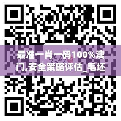 最准一肖一码100%澳门,安全策略评估_毛坯版QNV937.8