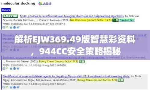 解析EJW369.49版智慧彩资料,944CC安全策略揭秘