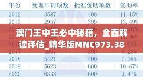 澳门王中王必中秘籍,全面解读评估_精华版MNC973.38