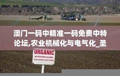 澳门一码中精准一码免费中特论坛,农业机械化与电气化_圣帝RLU382.11