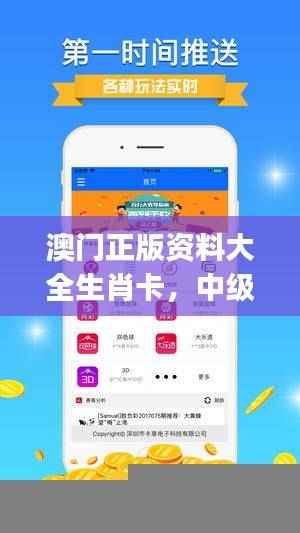 澳门正版资料大全生肖卡,中级解析方案更新版JER243.7