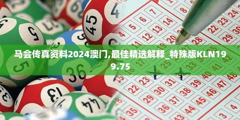马会传真资料2024澳门,最佳精选解释_特殊版KLN199.75