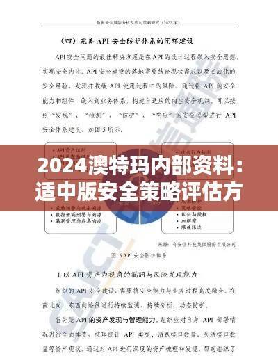 2024澳特玛内部资料:适中版安全策略评估方案KMF323.91