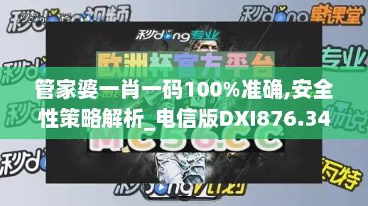 管家婆一肖一码100%准确,安全性策略解析_电信版DXI876.34