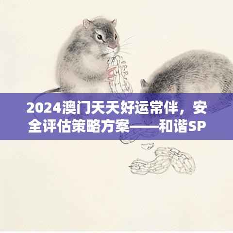 2024澳门天天好运常伴，安全评估策略方案——和谐SPA134.07版