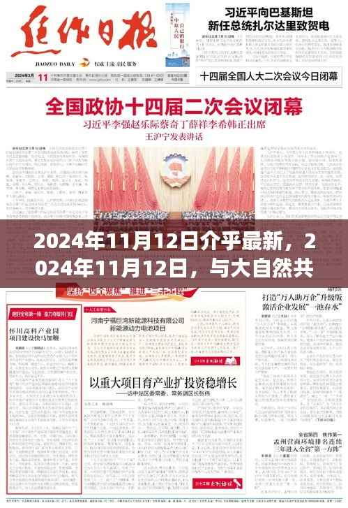 大自然共舞的日子,一场远离尘嚣的旅行探索(2024年11月12日)