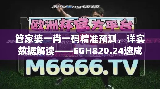 管家婆一肖一码精准预测,详实数据解读——EGH820.24速成指南