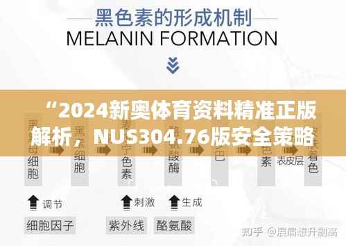 “2024新奥体育资料精准正版解析,NUS304.76版安全策略详解”