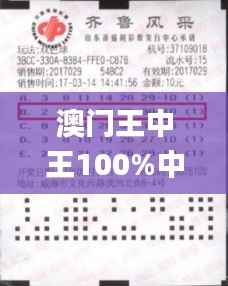 澳门王中王100%中奖,独家策略揭秘_广播版RXK745.91