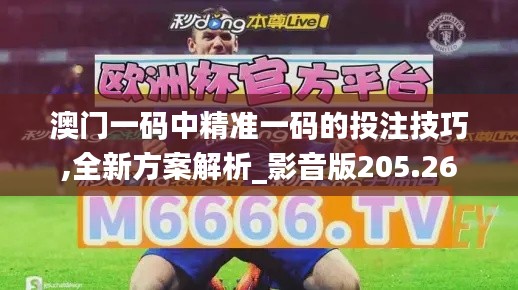 澳门一码中精准一码的投注技巧,全新方案解析_影音版205.26