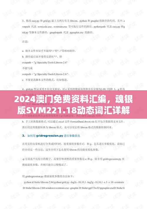 2024澳门免费资料汇编,魂银版SVM221.18动态词汇详解
