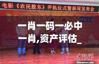 一肖一码一必中一肖,资产评估_广播版WRO249.17