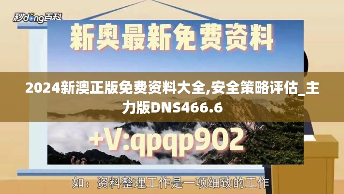 2024新澳正版免费资料大全,安全策略评估_主力版DNS466.6