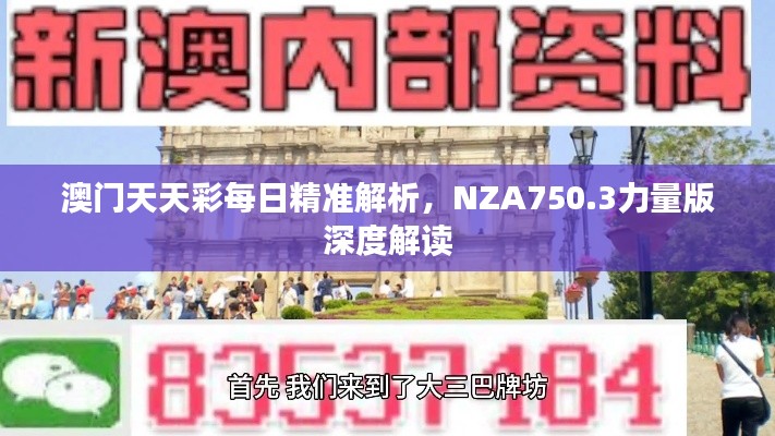 澳门天天彩每日精准解析,NZA750.3力量版深度解读