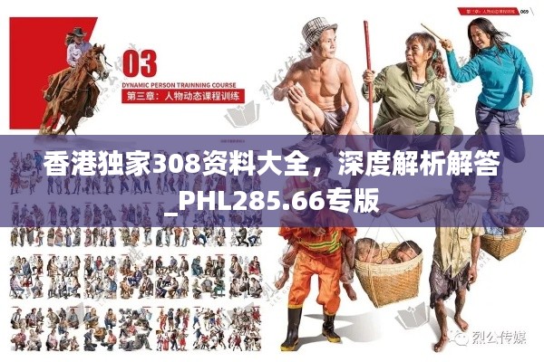 香港独家308资料大全,深度解析解答_PHL285.66专版