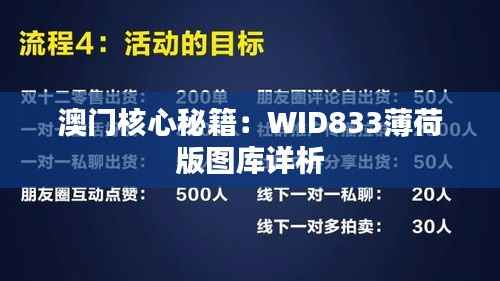 澳门核心秘籍:WID833薄荷版图库详析