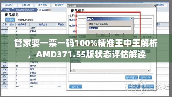 管家婆一票一码100%精准王中王解析,AMD371.55版状态评估解读