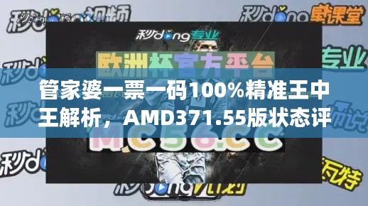 管家婆一票一码100%精准王中王解析,AMD371.55版状态评估解读
