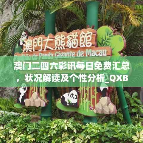 澳门二四六彩讯每日免费汇总,状况解读及个性分析_QXB937.33