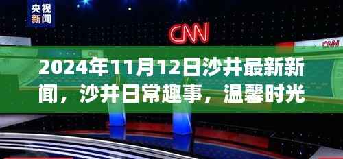 沙井时光,最新新闻与日常趣事的温馨邂逅 2024年11月12日