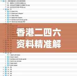 香港二四六资料精准解析，GAQ887.04版数据详实解读