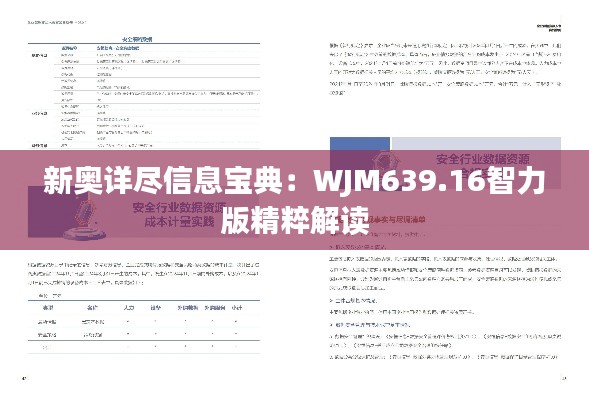 新奥详尽信息宝典:WJM639.16智力版精粹解读