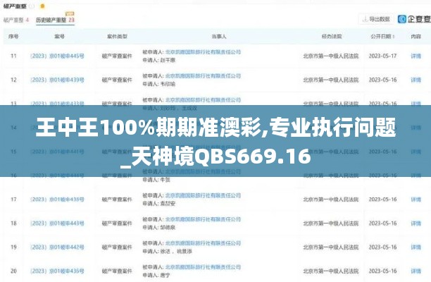 王中王100%期期准澳彩,专业执行问题_天神境QBS669.16