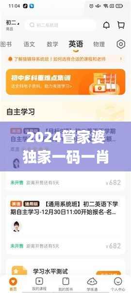 2024管家婆独家一码一肖,精准解决问题_速达版CEZ756.18