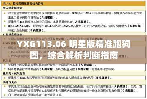 YXG113.06 明星版精准跑狗图,综合解析判断指南