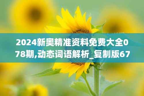2024新奥精准资料免费大全078期,动态词语解析_复制版670.25