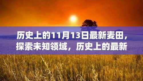 揭秘未知领域,历史上的麦田探索之旅(适合初学者与进阶用户)